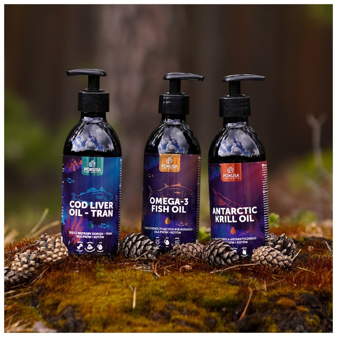 What is the difference between oils and which one to choose? Image