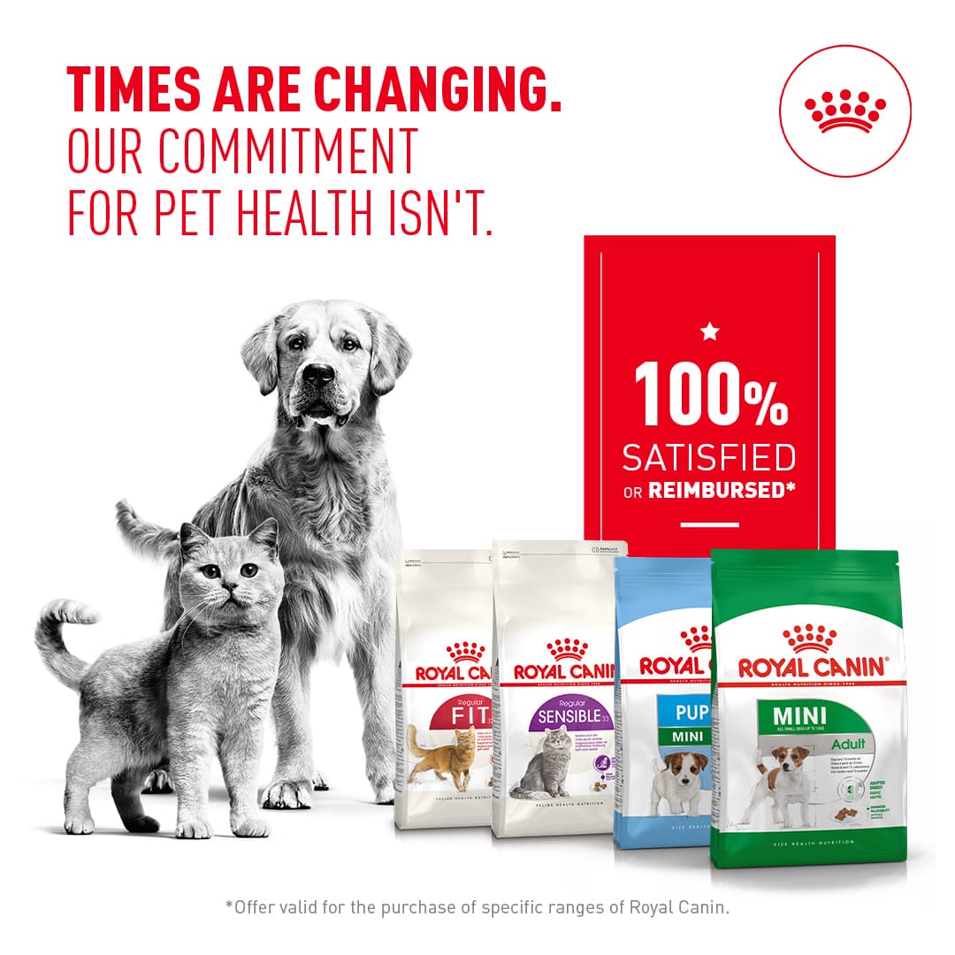 Royal Canin Palatability Gurantee Image