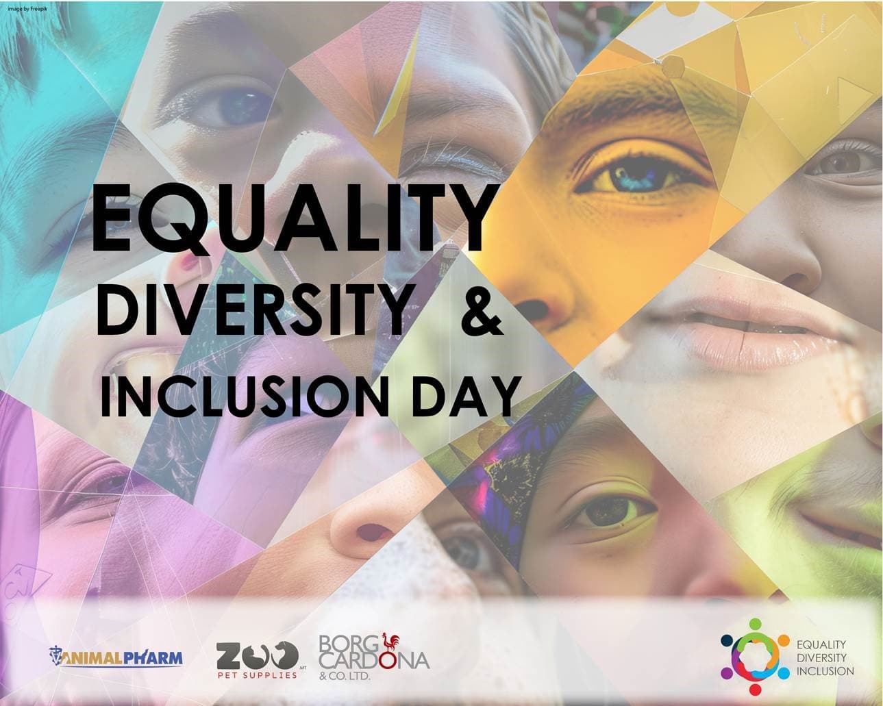 Borg Cardona & Co. Ltd. Celebrates Equality, Diversity, and Inclusion with EDI Day Image